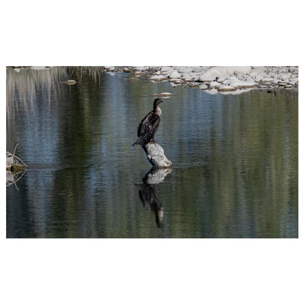 PHOTO84, CLUB, 84 , LUBERON